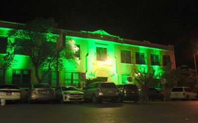 El Colegio Palmore se viste de verde.
