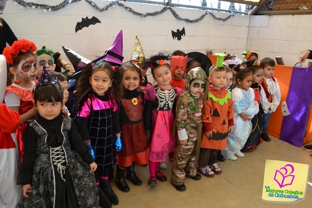 Desfile de disfraces. Colegio Bilingüe VIGOTSKY.