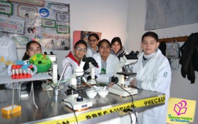 Expociencia 2020. Colegio PALMORE